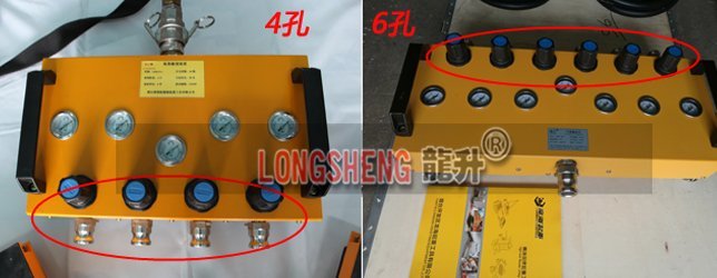 龍陞(sheng)牌氣墊搬(ban)運(yun)車(che)的(de)可定(ding)製(zhi)選(xuan)項(xiang)