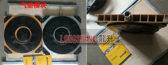 龍陞牌氣(qi)墊(dian)搬(ban)運(yun)車的可(ke)定(ding)製(zhi)選(xuan)項