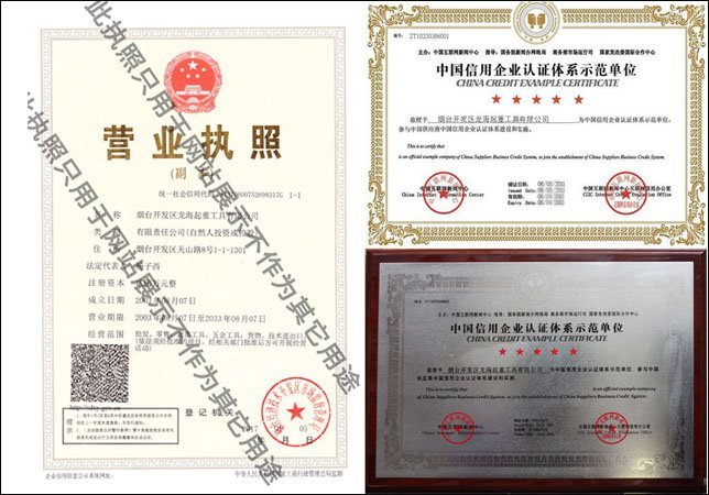 龍(long)海起重企業介紹及資(zi)質證明